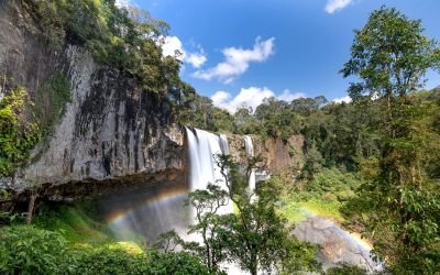 Cameroon Travel Guide