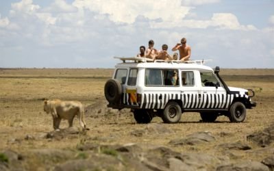 Kenya Travel Guide