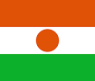 niger-visa-flag