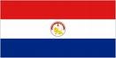 Paraguay -visa-flag