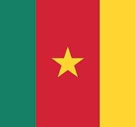 Cameroon_Visa_Flag